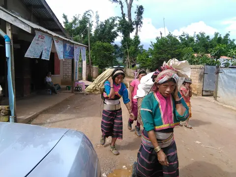 အရိုပ် ဒါအာင်နာ မိုင်းယော်